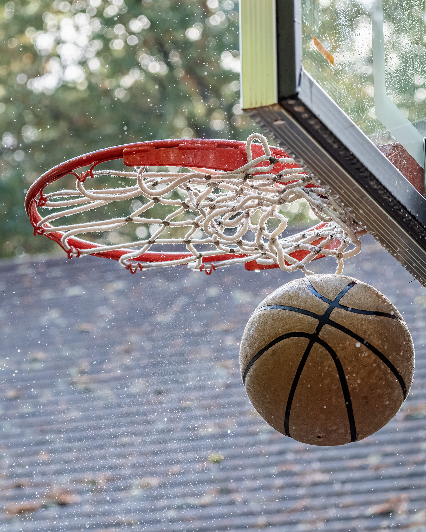 Basketball Hoop 3