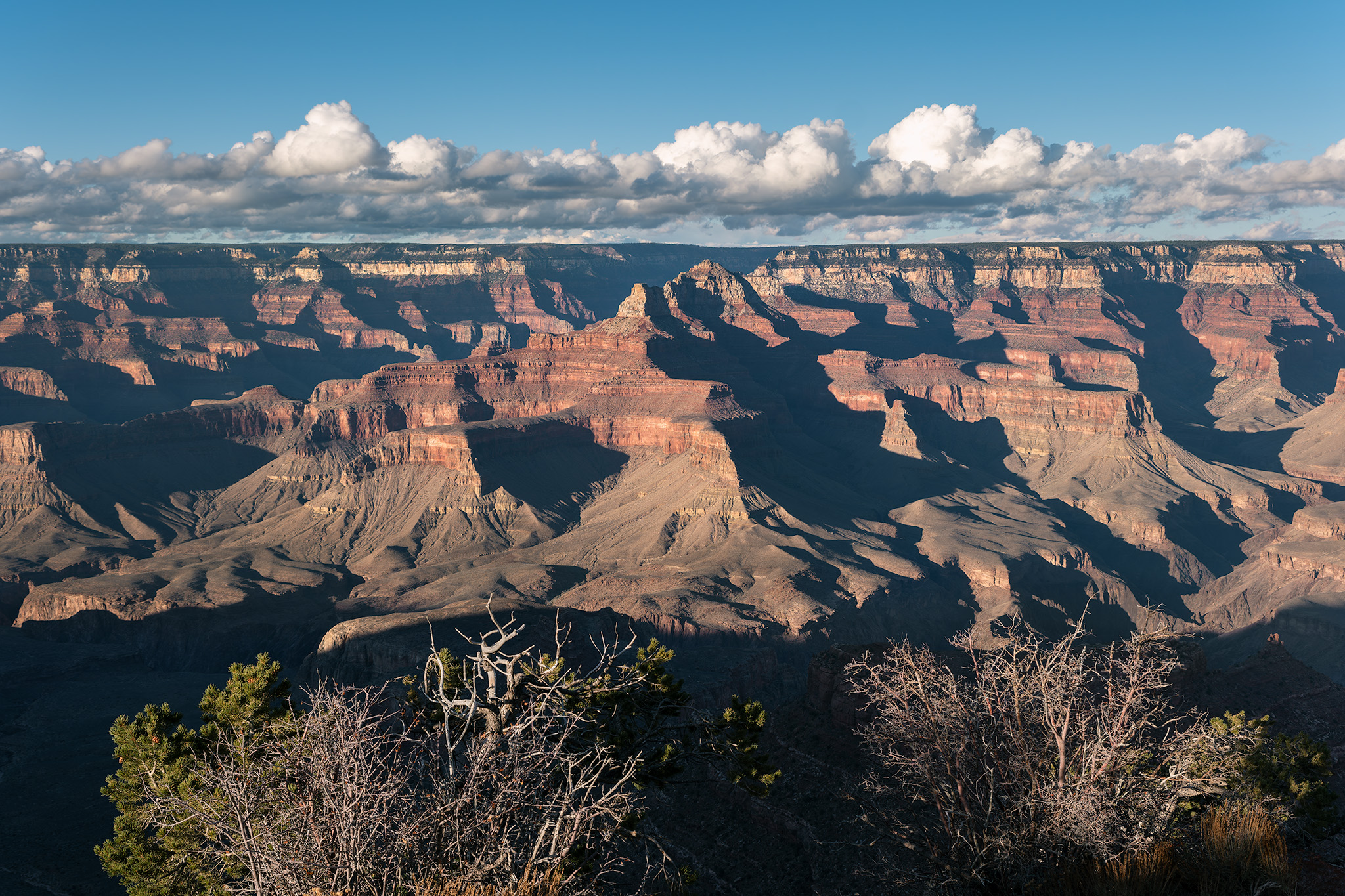 Grand Canyon Afternoon