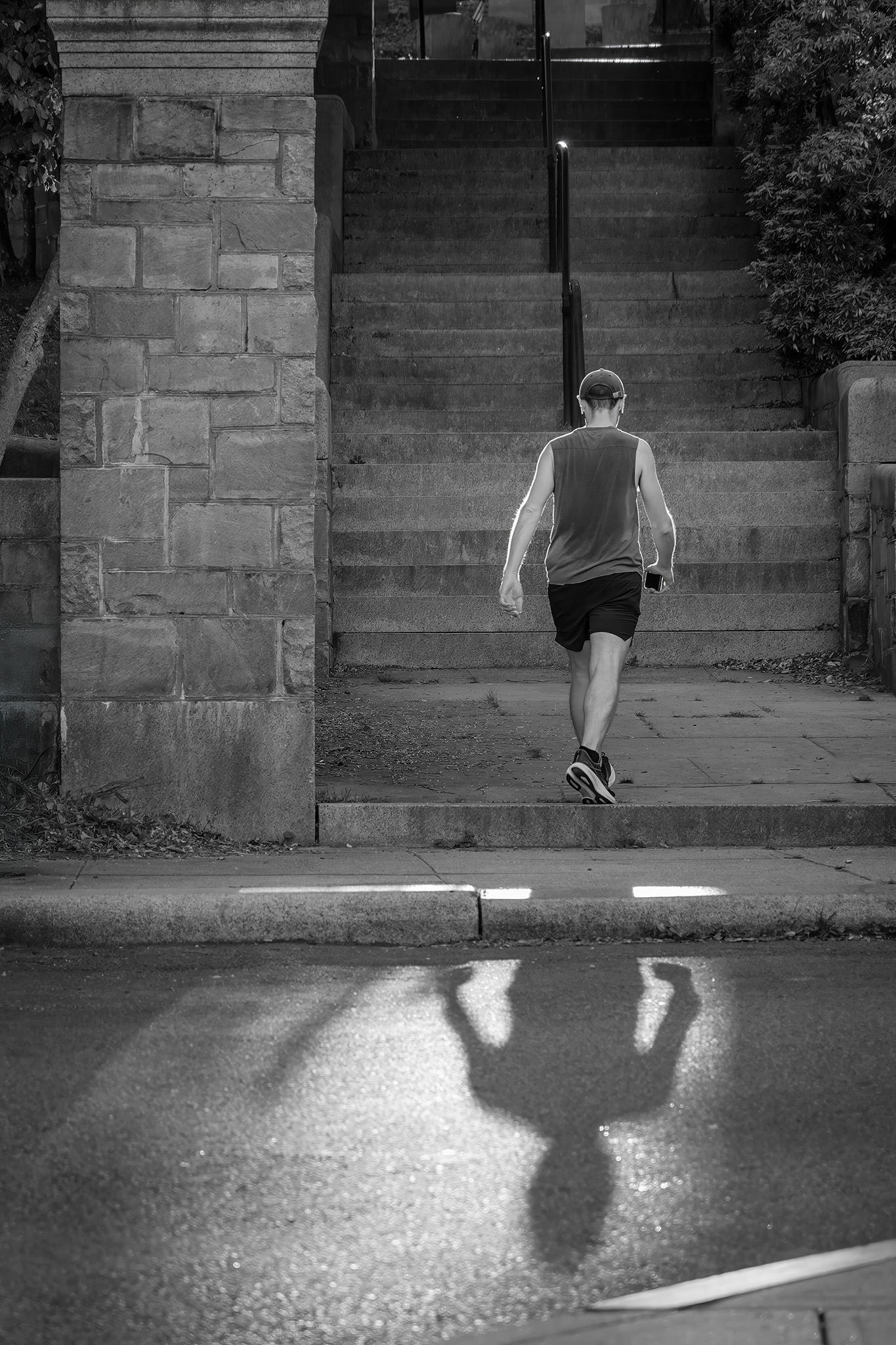 Plymouth Walker